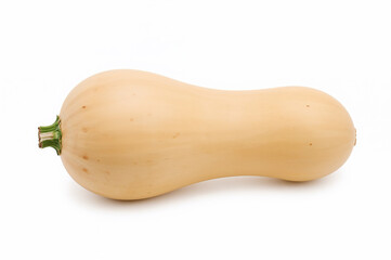 Fresh Butternut Squash Isolated on White Background