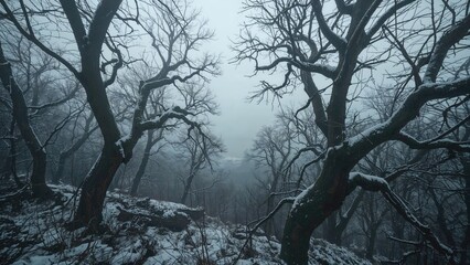 Snow-covered forest with leafless trees during winter. Cold, serene, and foggy landscape.