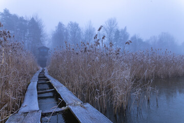 Boardwalk path to bird observatory on foggy winter morning