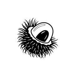 Close-up of a durian fruit isolated on transparent background, Vector