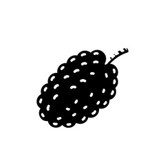 Single blackberry on stem isolated on transparent background, Vector