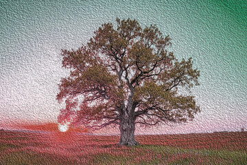 tree in a field