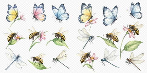 Watercolor collection of colorful butterflies, bees, dragonflies, and delicate flowers on a transparent background. © studio