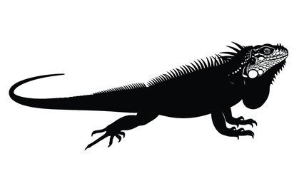 Fototapeta premium Black silhouette of an iguana reptile in profile against a isolated on white background