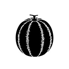 Black and white pumpkin isolated on transparent background, Vector