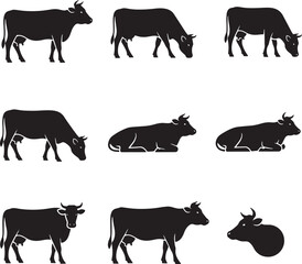 Silhouette icon set of cow farm animal poses showing standing walking grazing lying down and turning head livestock movement illustration
