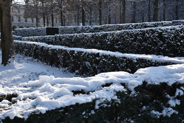 Haies&nbsp;enneig&eacute;es&nbsp;au Jardin de Tuileries en hiver &agrave; Paris