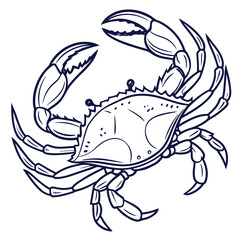 Minimal outline realistic blue crab vector illustration with clean thin strokes and accurate anatomy. Designed for modern logos, icons, packaging, tattoos, and editorial layouts. Simple, elegant.