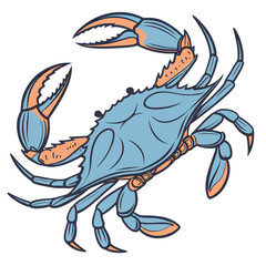 Highly detailed realistic blue crab vector illustration shown from a top view with natural blue and orange shell colors. Clean and sharp vector lines make this design perfect for seafood branding, res