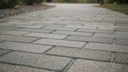 Close-up of paved brick pathway on a road or walkway.