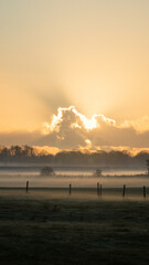 Sunset with fog. The evening sun passes through the clouds against the backdrop of fog above the ground