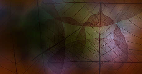 leaf texture, leaf background with veins and cells