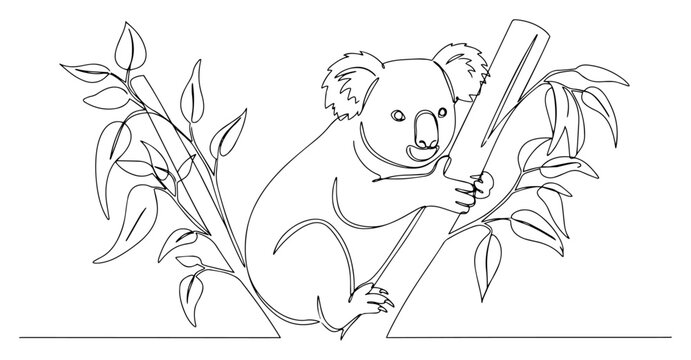 One line drawing of a cute koala climbing a eucalyptus tree