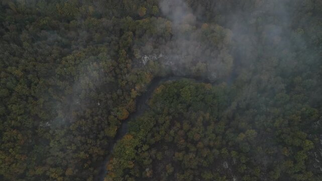 Aerial of hills and forest countryside in the fog
