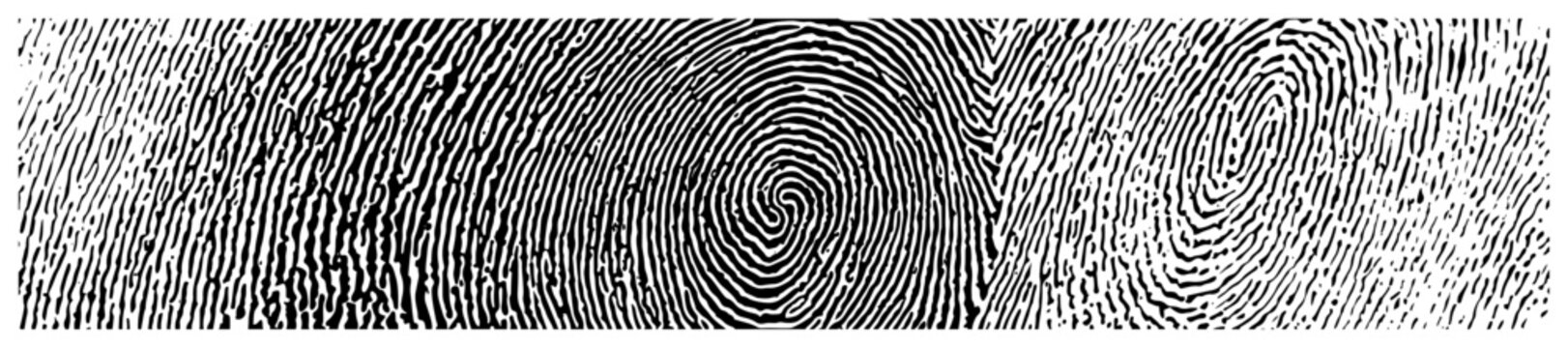 Detailed grunge fingerprint texture background for security concepts