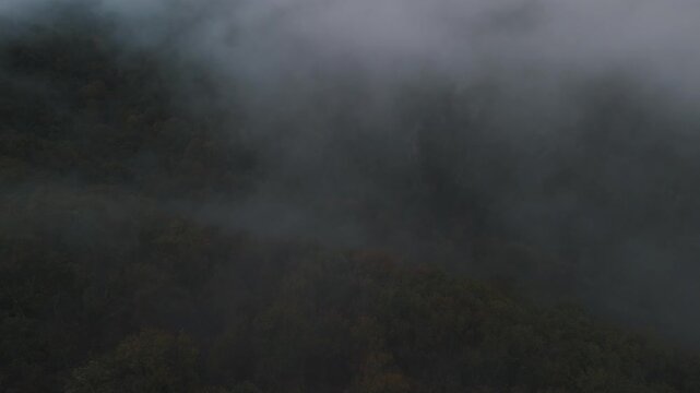 Aerial of hills and forest countryside in the fog