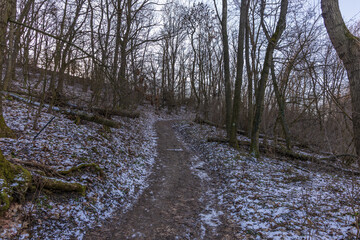 Hiking trail in a winter forest below Sirotci hradek castle ruins. Palava, South Moravia, Czechia, snow-covered path and trees