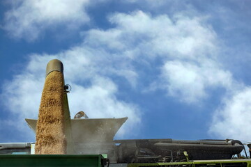 Abtransport des Korns