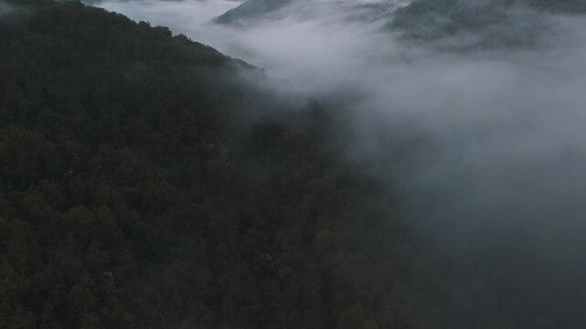 Aerial of hills and forest countryside in the fog