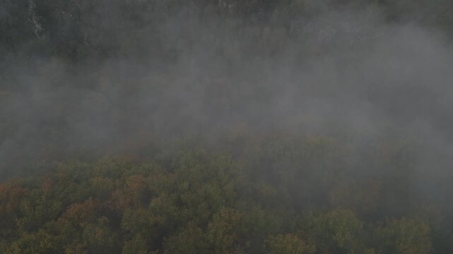 Aerial of hills and forest countryside in the fog