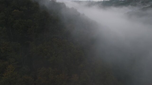 Aerial of hills and forest countryside in the fog
