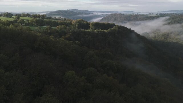 green hills and forest aerial fogg