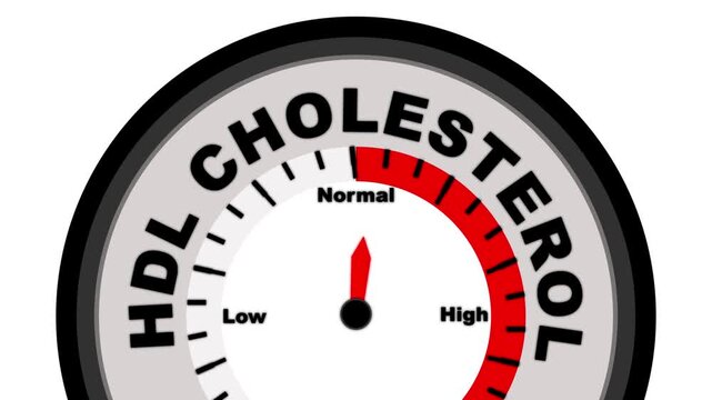 HDL Cholesterol text with a barometer or tachometer-style gauge, illustrating varying levels of high-density lipoprotein and its impact on cardiovascular health.