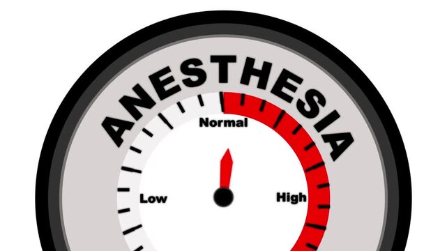 Anesthesia text or word displayed with a barometer or tachometer-style gauge showing levels from low to normal to high, symbolizing the depth of anesthesia and its effects on the body during medical