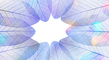 background from leaves sceletons with veins and cells - macro photography