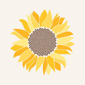 Sunflower Fibonacci sequence logo