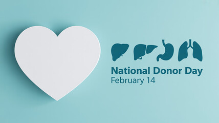 National Donor Day February 14 Healthcare Awareness Banner with Heart Liver Stomach and Lungs Icons for Medical Organ Donation Campaign