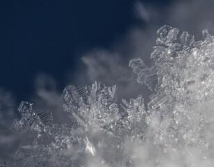 macro of ice crystals