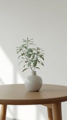 Minimalist table with white vase and single plant, clean background, diffused natural light, clean Japanese aesthetic, balanced composition, 4k photo.