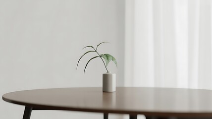 Minimalist table with white vase and single plant, clean background, diffused natural light, clean Japanese aesthetic, balanced composition, 4k photo.