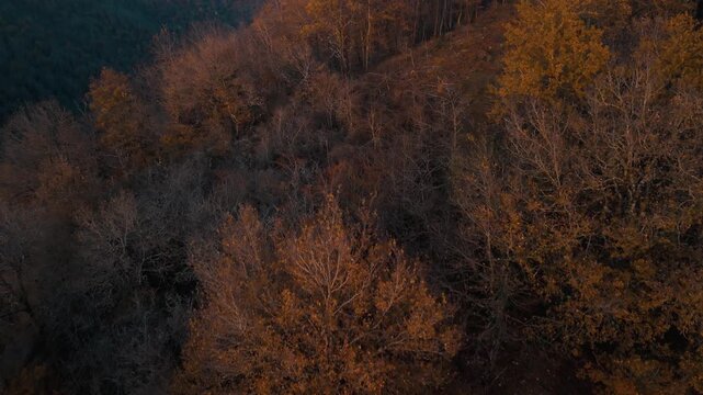 Mystic autumn aerial - forest and hills drone footage