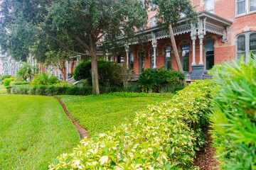 Decorative groundcover and sculpted grass areas in urban garden setting