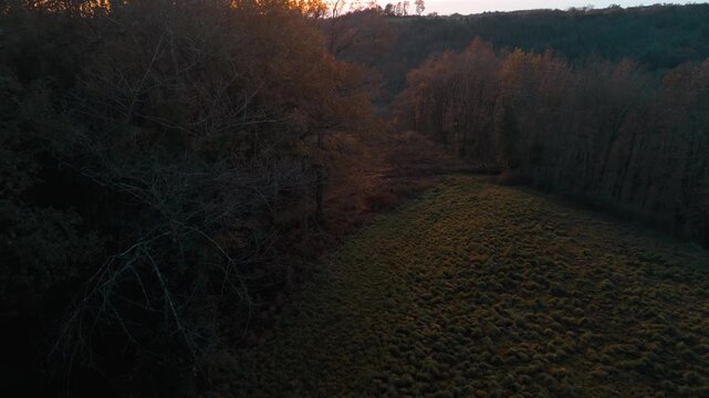 Mystic autumn aerial - forest and hills drone footage