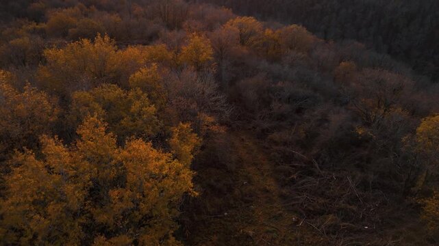 Mystic autumn aerial - forest and hills drone footage