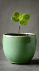 sprouting green in ceramic pot against open field landscape