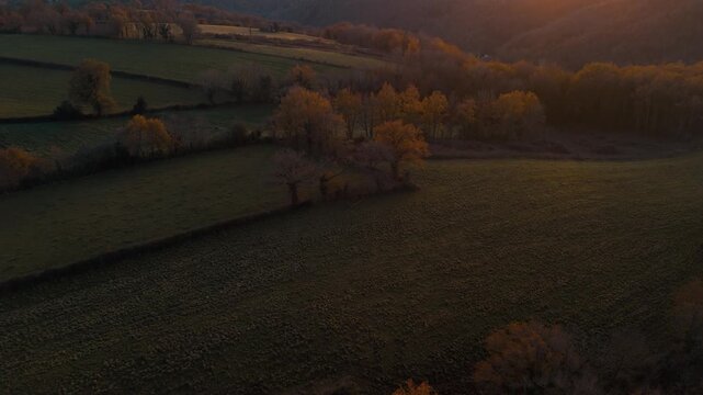 Mystic autumn aerial - forest and hills drone footage