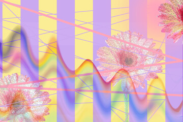 Trendy wavy geometric collage with pink gerbera flowers, yellow purple gradient striped background, vibrant retro-futuristic design for posters, social media or branding banners.