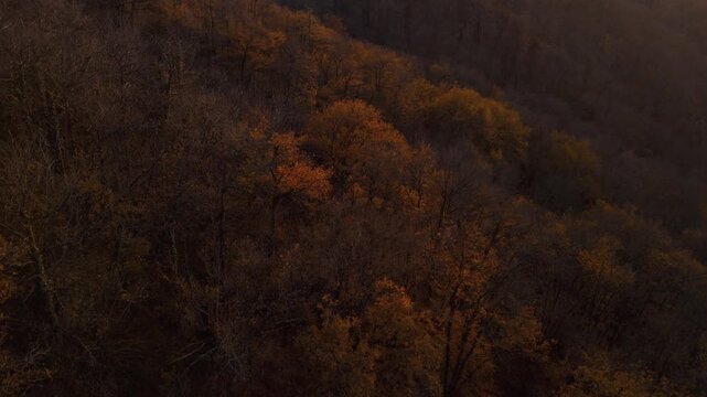 Mystic autumn aerial - forest and hills drone footage