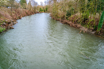 Cedar River Landscape 2