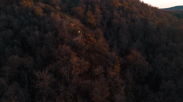 Mystic autumn aerial - forest and hills drone footage