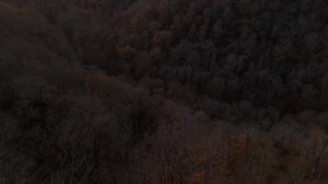 Mystic autumn aerial - forest and hills drone footage