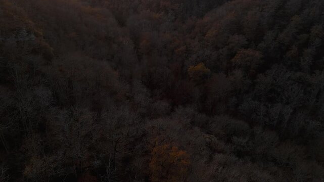 Mystic autumn aerial - forest and hills drone footage