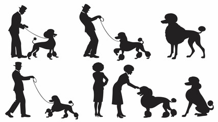 Formal Dog Owners Walking Poodles Silhouette Vector Set Elegant People and Standard Poodle Graphic Icons for Pet Care and Web Design