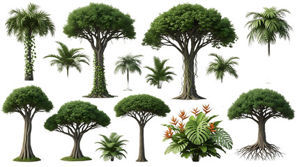 A collection of various trees and plants on transparent background