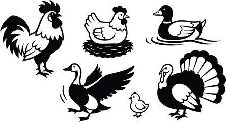 Fototapeta premium Silhouette vector farm birds composition rooster crowing hen nesting on nest duck swimming goose flying turkey strutting chick nearby pond scene flat icon black white set