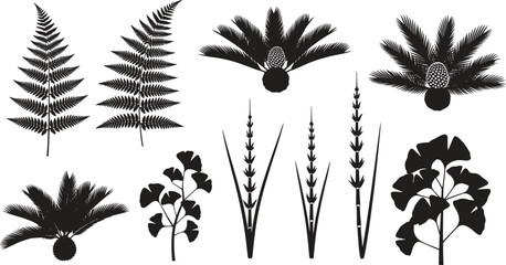 Collection of various fern and plant silhouettes © Sakila